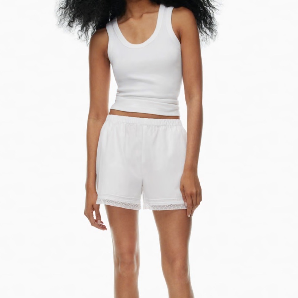 Aritzia shorts